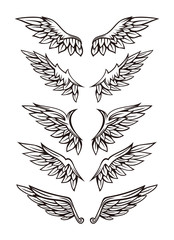 Set of wing illustration design