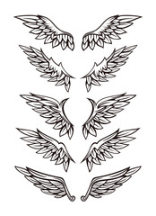 Set of wing illustration design