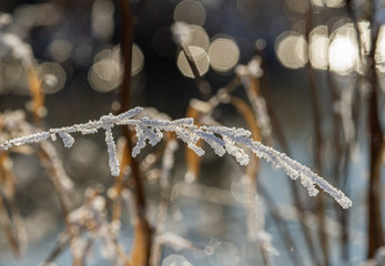 Winter time in Romania
