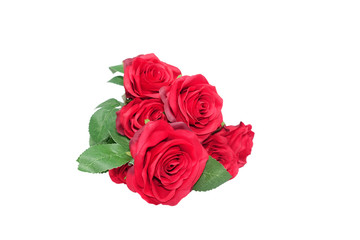 Red rose bouquet in a white background