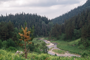 The source of the Molochka river is the Lagonaki plateau, flowing into the Kurjips.