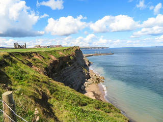 Obraz premium Whitby abbey landscape 