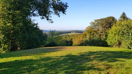 Naklejka premium Beautiful green landscape