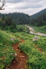 Obraz premium The source of the Molochka river is the Lagonaki plateau, flowing into the Kurjips.