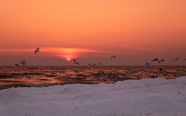 Winter auf Usedom