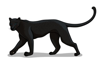 Panther big cat isolated in cartoon style. Educational zoology illustration, coloring book picture. © VerAtro