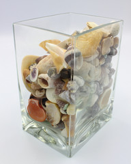 vase of shells