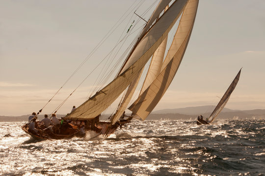 vela