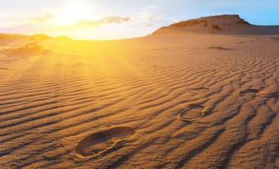 summer sandy desert scene at the sunset