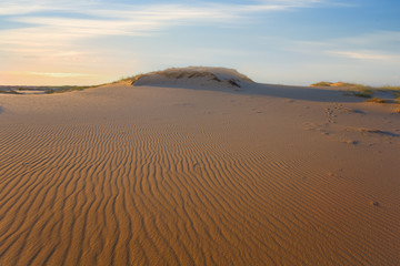 Fototapeta na wymiar sandy desert at the evening, outdoor desert background