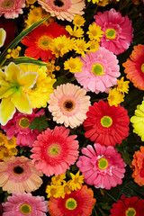 Flower arrangement, colorful various flowers 