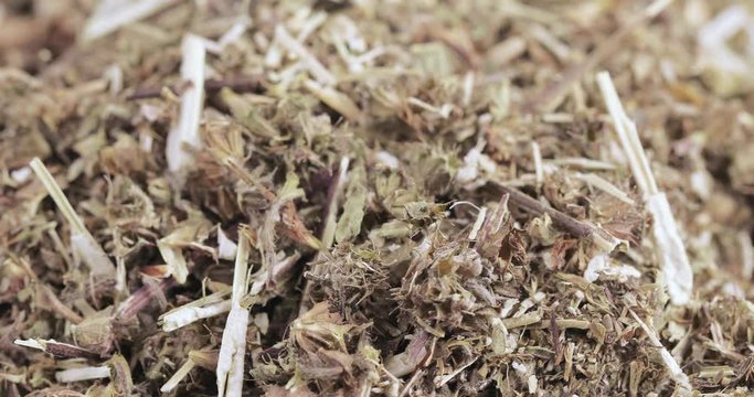Motherwort grass in bulk