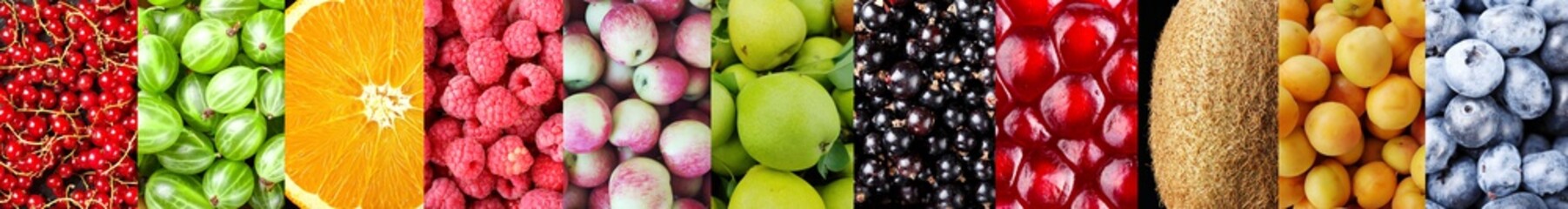 different fruits set