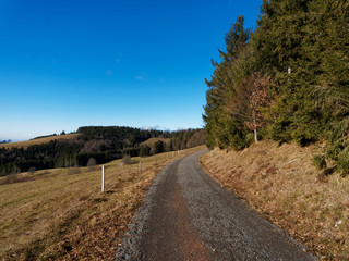 Gersbach im Berg (Südschwarzwald) Panoramaweg zur Spitze des Rohrenkopfes gesäumt von hohen...