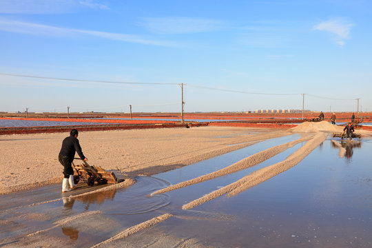 workers produced labor in salt field, Luannan, Hebei, China