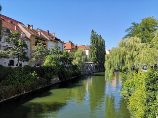 Fototapeta na wymiar Buildings along the Ljubljanica river in Ljubljana