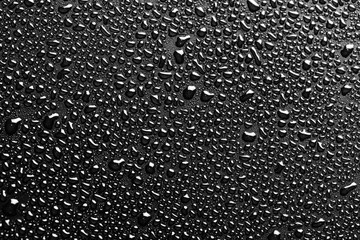drops of water macro on a black background