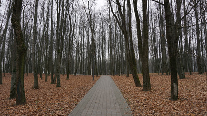 Victoria Park during winter in Minsk, Belarus.