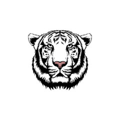 white tiger illustration isolated on white background