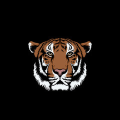 Fototapeta na wymiar tiger isolated on black background. panthera tigris vector