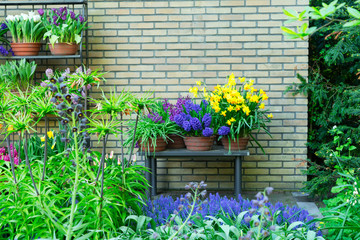 colorful flower shop