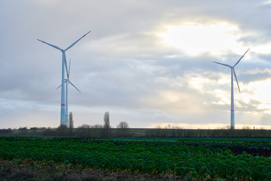 Eoliennes bilder Bläddra bland 1,347 stockfoton, vektorer och videor