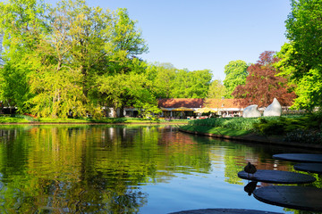 Obraz premium spring pond in park