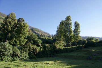 Obraz premium Forest railway with green trees ,tea garden, blue sky, view point , Landscape, mountain, hill village, long view of the mountain , outdoor and beauty of the nature 