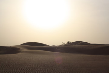 Fototapeta na wymiar Abu Dhabi Dubai dessert sunset sunrise sun landscape