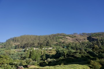 Fototapeta na wymiar Forest railway with green trees ,tea garden, blue sky, view point , Landscape, mountain, hill village, long view of the mountain , outdoor and beauty of the nature 