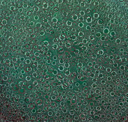 Drops of water on a glass surface on a green background. Close-up. Abstract fantasy. 
