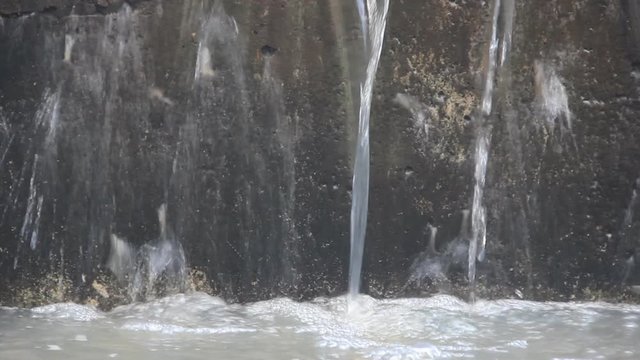 These small fish try to jump over a small waterfall in the rainforest of Sri Lanka. Perhaps they are heading up the river to spawn. What is the persistence of instinct!