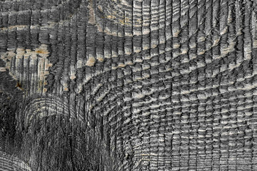 Fototapeta premium natural old wood texture grey color striped relief