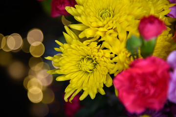 Yellow Mums and Red Carnations, Flowers with Bokeh Background