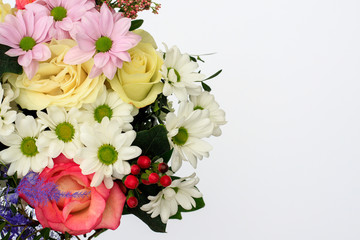 Flowers on a white background. Top view with space for copy.