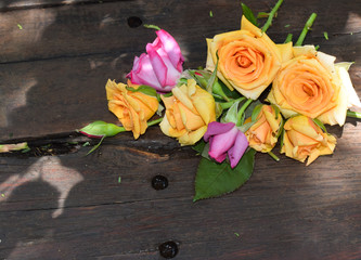 Delicate roses on rustic background