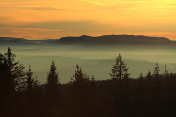 silhouette de sapins au coucher de soleil