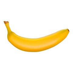 Realistic yellow banana. Vector illustration of fruits. Isolated on a white background