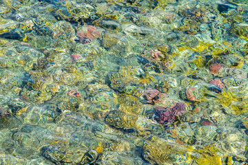 Coral reef. Clean sea. Sea vacation concept. Marine background