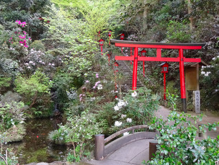 Obraz premium Roter Torii vor Wald in Fukuoka Japan