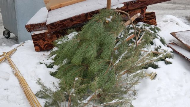 Christmas tree laying on the streen near trash can after new year holidays