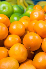Fresh oranges in the store. Close up view of madarines orange on the sheft in the supermarket. Healty and fresh fruits background in a supermarket super store. vertical photo