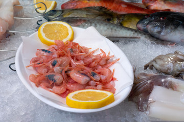 Raw fresh mini shrimps with lemon pieces on the plate in the refregerator with ice. Seafood on the ice in greek market.