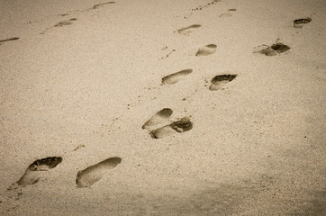 footsteps on the beach