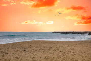 beautiful sunset on the beach with reddish sun