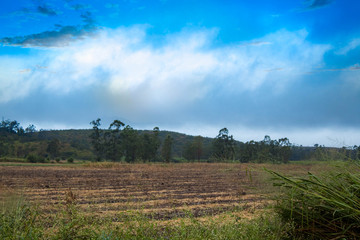 Fototapeta premium Mountains in the bush, field with blue sky