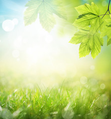 Background of green leaves and grass, summer or spring season. Background natural green plants landscape, ecology