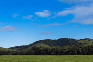 Fototapeta na wymiar Mountains in the bush, field with blue sky