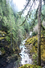 Looking down at the raging Nooksack River.