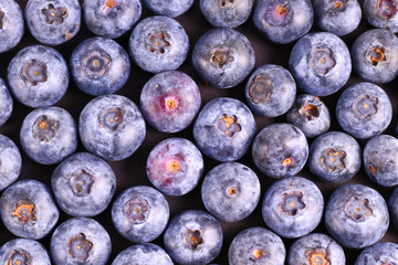 Top view of a bunch of fresh raw European Blueberry berries